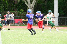 Enlarge photo 83