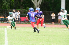 Enlarge photo 86