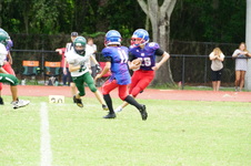 Enlarge photo 84