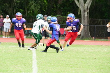 Enlarge photo 85