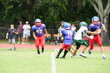 Enlarge photo 87