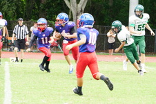 Enlarge photo 89