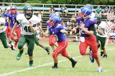 Enlarge photo 91