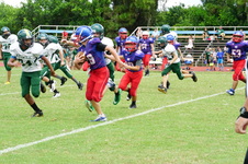 Enlarge photo 95