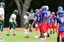 Enlarge photo 106
