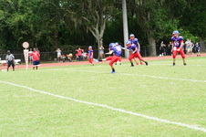 Enlarge photo 126