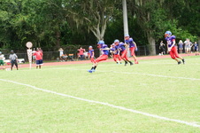 Enlarge photo 124