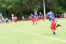 Enlarge photo 127