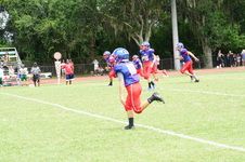 Enlarge photo 129