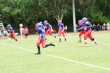 Enlarge photo 132