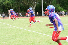 Enlarge photo 133
