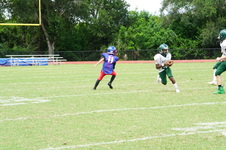 Enlarge photo 138
