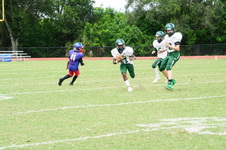 Enlarge photo 137