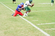 Enlarge photo 143