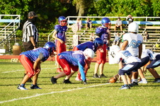 Enlarge photo 53
