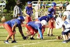 Enlarge photo 52