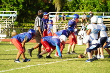Enlarge photo 54
