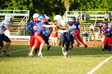 Enlarge photo 63