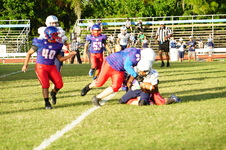 Enlarge photo 66