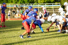 Enlarge photo 85