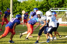 Enlarge photo 95