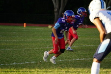 Enlarge photo 115