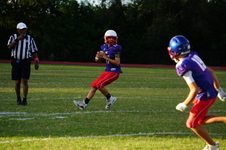 Enlarge photo 120