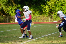 Enlarge photo 129