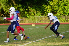 Enlarge photo 127