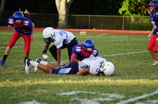 Enlarge photo 130