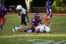 Enlarge photo 132
