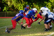 Enlarge photo 134
