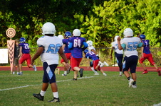 Enlarge photo 137