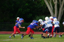 Enlarge photo 141