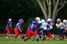 Enlarge photo 142
