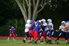 Enlarge photo 146