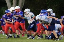 Enlarge photo 148
