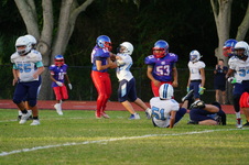 Enlarge photo 155