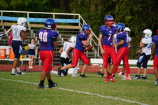 Enlarge photo 165