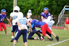Enlarge photo 205