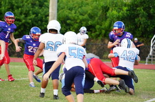 Enlarge photo 207