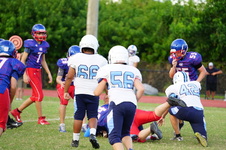 Enlarge photo 206