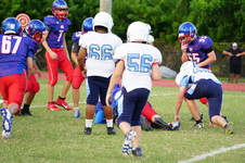 Enlarge photo 208