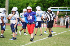 Enlarge photo 220