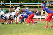 Enlarge photo 224