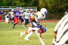 Enlarge photo 227