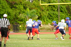 Enlarge photo 231
