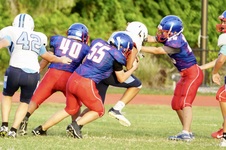 Enlarge photo 229
