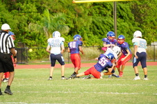 Enlarge photo 232