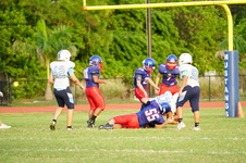 Enlarge photo 233